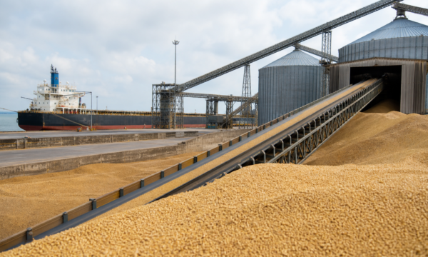 Inspeções de soja para exportação nos EUA sobem 43% na semana, aponta USDA