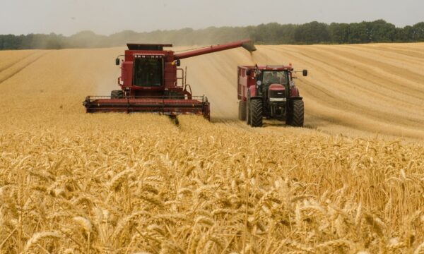 Agropecuária cresce 2,8% e impulsiona PIB, que avança 0,5% no 2º trimestre de 2026