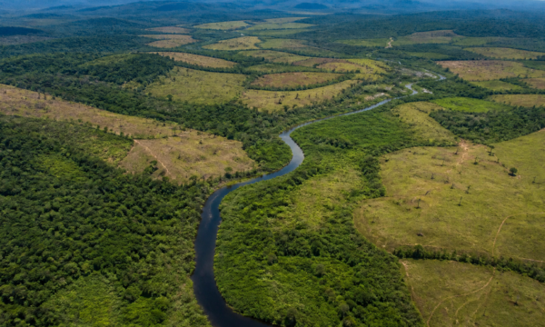 BNDES libera R$ 180 milhões do Fundo Clima para restauração no Pará