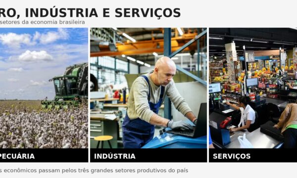 Presidente eleito terá obstáculos na economia; juro alto é o principal desafio, entenda