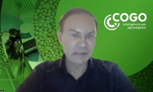 Soja apresenta recuperação de preços e valorização significativa